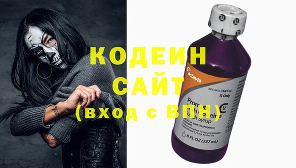 a pvp Гусь-Хрустальный