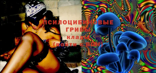 альфа пвп Гусев