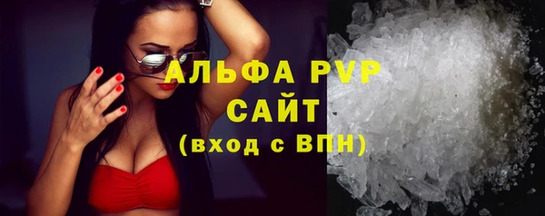 альфа пвп Гусев