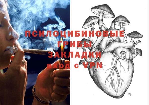 COCAINE Гусиноозёрск