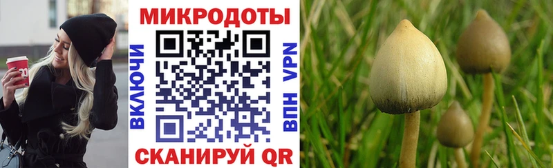 Галлюциногенные грибы GOLDEN TEACHER  Туран 