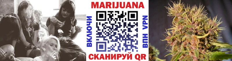 Канабис семена  купить закладку  Туран 